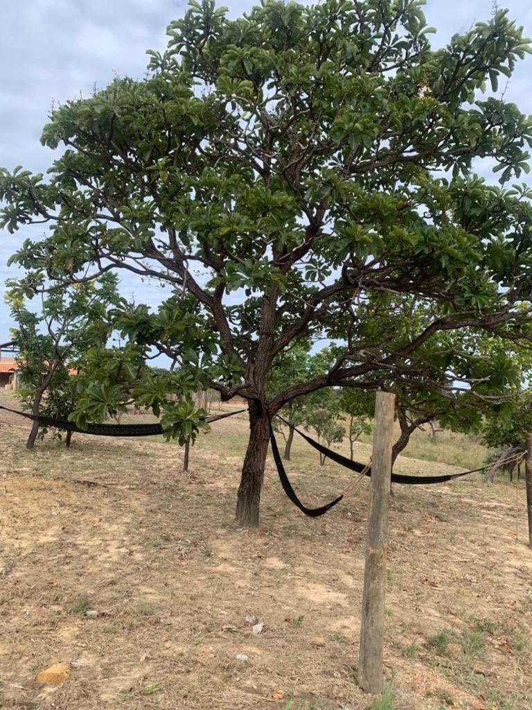 Pousada Solar Da Canastra Delfinópolis Eksteriør billede