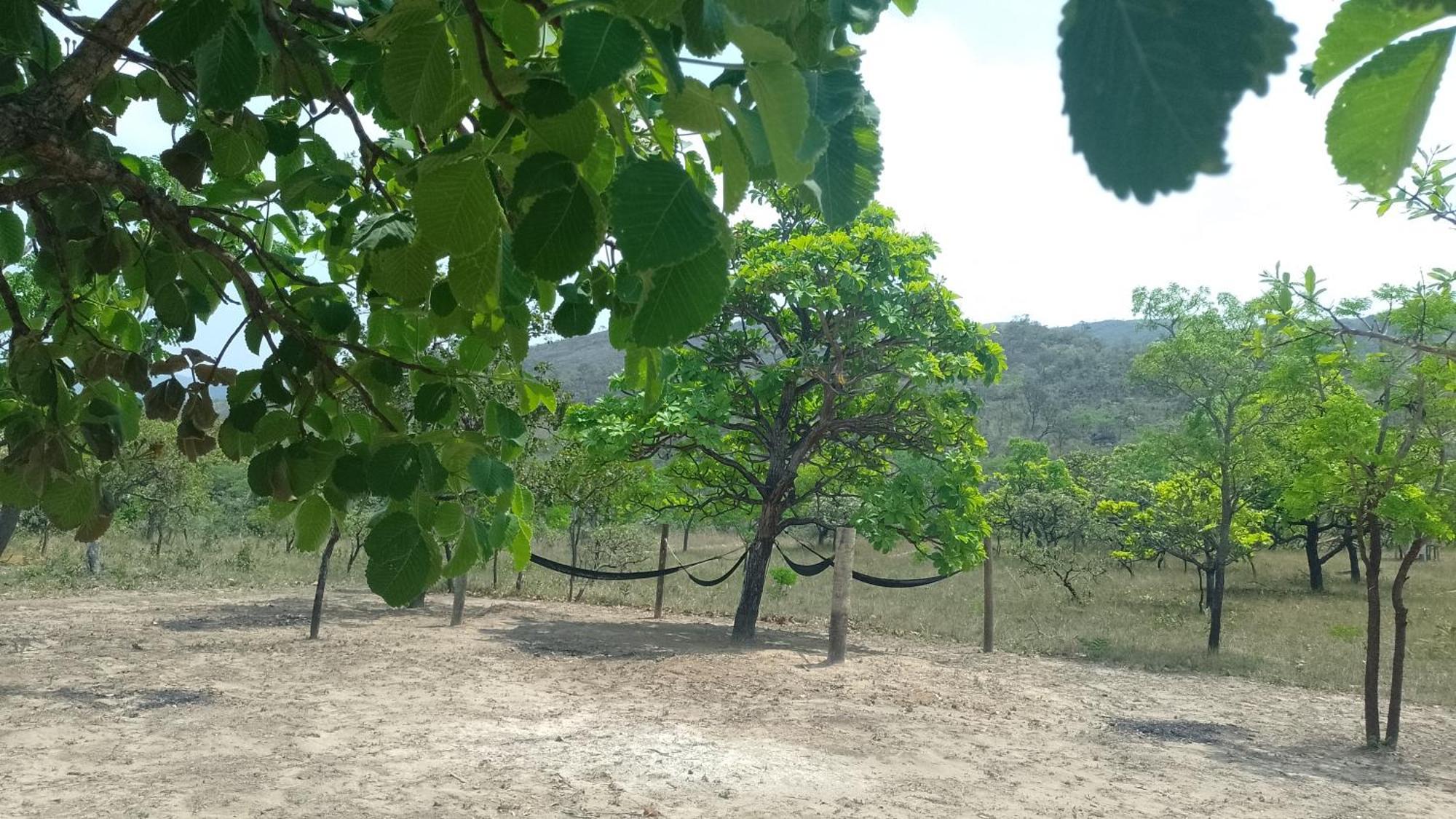 Pousada Solar Da Canastra Delfinópolis Eksteriør billede